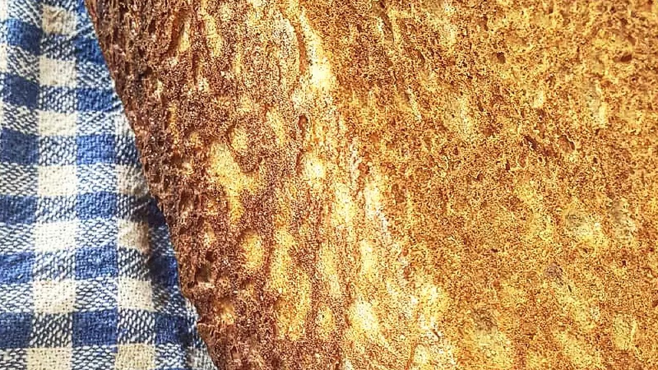 Casa Caravan sourdough tin loaf with a domed, caramelised crust